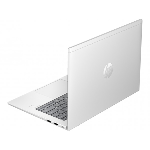 Ноутбук HP ProBook 440 G11 (8Z4N0AV_V1) Silver