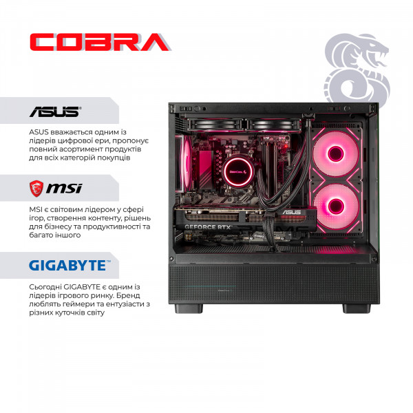 Персональний комп`ютер COBRA Gaming (A96X.64.S10.57T.19904)
