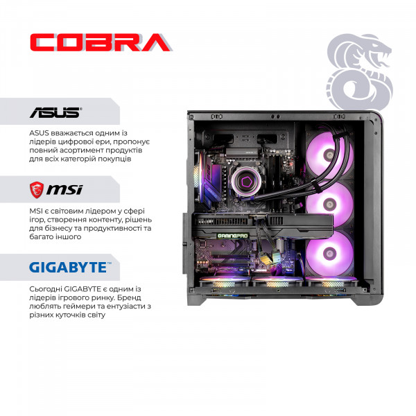 Персональний комп`ютер COBRA Gaming (A99X.64.S1.57T.22031)