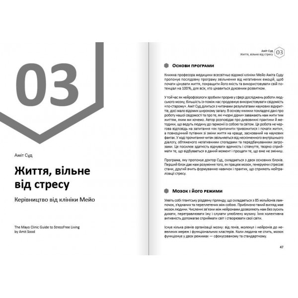Щастя. Здоровий і щасливий рік. Збірник самарі + Аудіокнижка