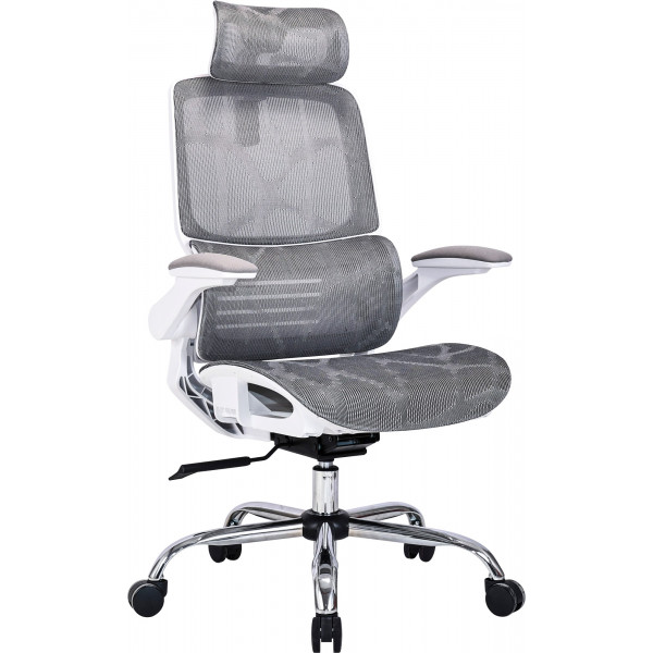 Крісло офісне OfficePro Verto OC570G