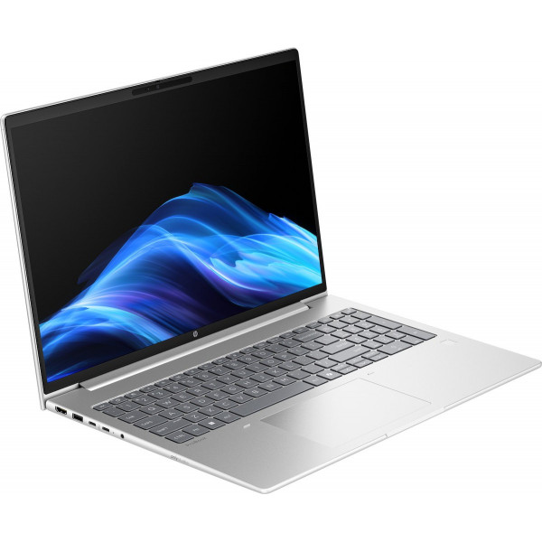 Ноутбук HP ProBook 4 G1ah 16 (AW8Q5AV_V8) Silver