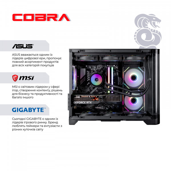 Персональний комп`ютер COBRA Gaming (A99X.64.S20.58.22057)