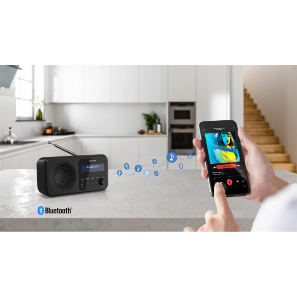 Радіоприймач Sharp DR-P420 Midnight Black (DR-P420(BK))