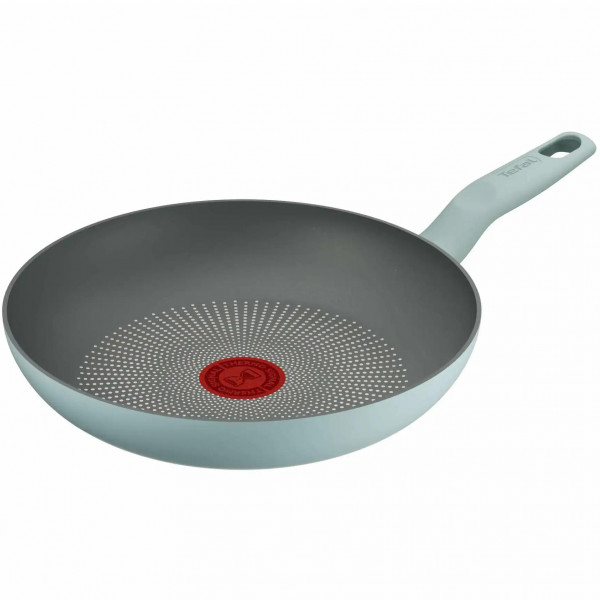 Сковорода Tefal Halo Eucalyptus 24 см (G0160402)