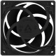Вентилятор Arctic P8 PWM PST Black - 5 Pack (ACFAN00154A)