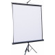 Проекційний екран Atria 100" (203x153, 4:3) (TRM-NTSC-100D)
