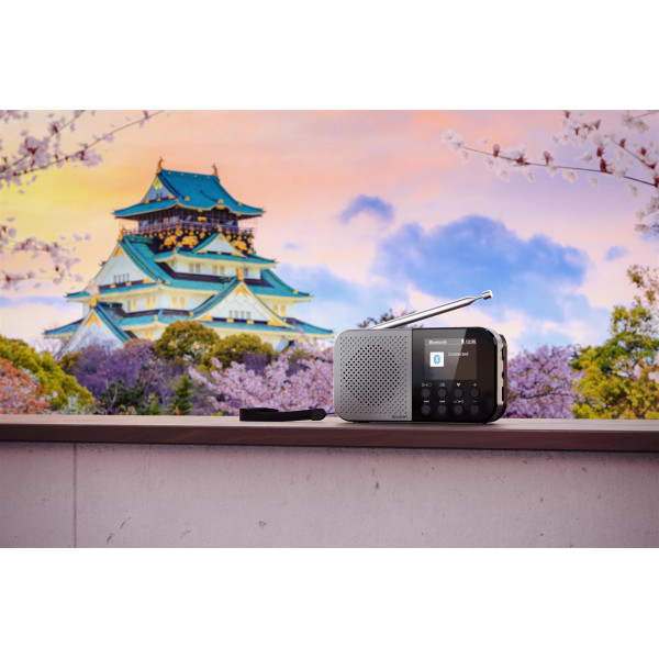 Радіоприймач Sharp DR-P520 Grey (DR-P520(GY))