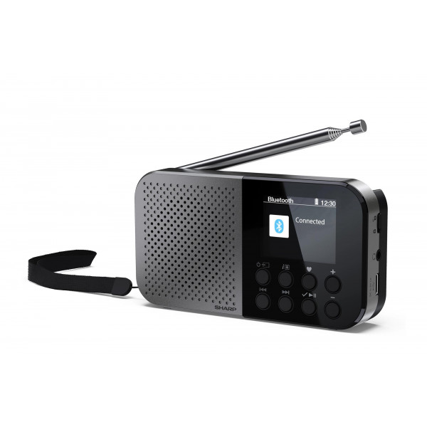 Радіоприймач Sharp DR-P520 Grey (DR-P520(GY))