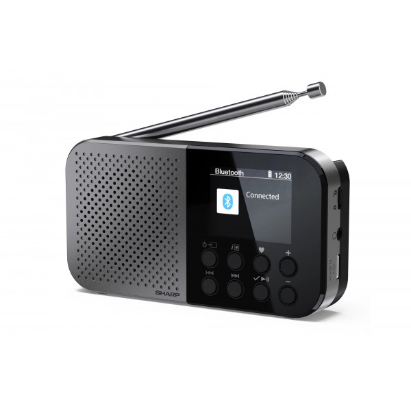 Радіоприймач Sharp DR-P520 Grey (DR-P520(GY))