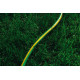 Шланг 2Е AquaFlex Green 1/2" 12м (2E-GHE12GN12)