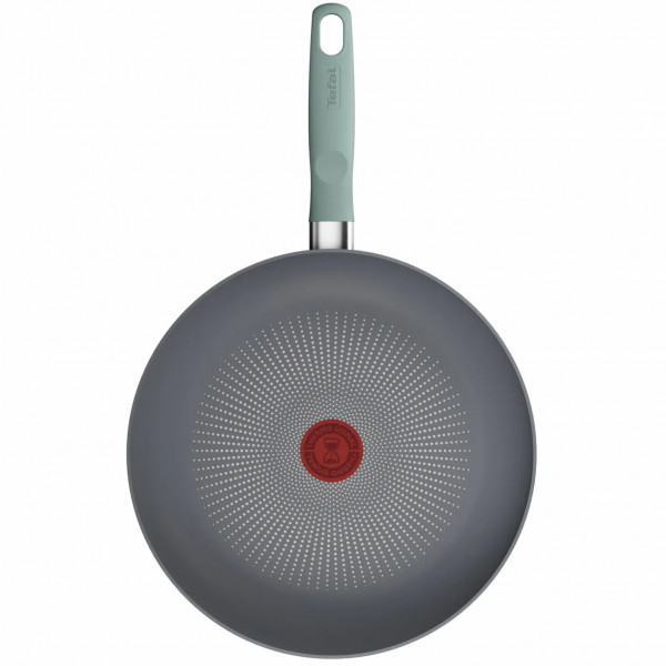 Сковорода Tefal Halo Eucalyptus 28 см (G0160602)
