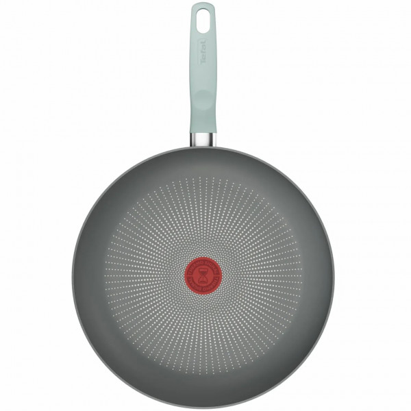 Сковорода Tefal Halo Eucalyptus 30 см (G0160702)