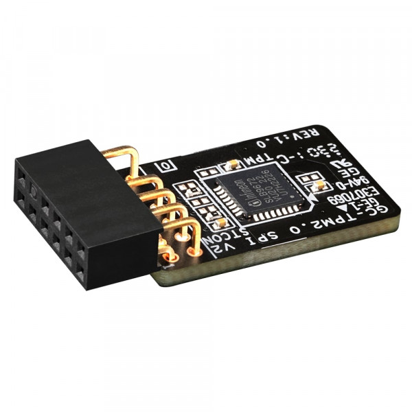 Контролер Gigabyte GC-TPM2.0 SPI V2