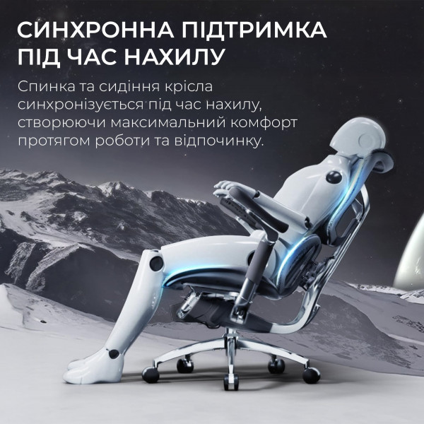 Крісло офісне Sihoo Doro S300 Mesh Dark Grey (S300-M201)