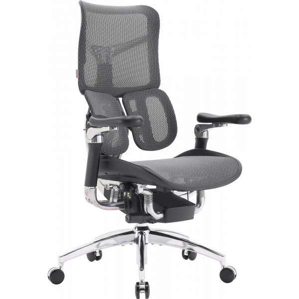 Крісло офісне Sihoo Doro S300 Mesh Dark Grey (S300-M201)
