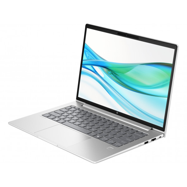 Ноутбук HP ProBook 445 G11 (8Z9P6AV_V1) Silver