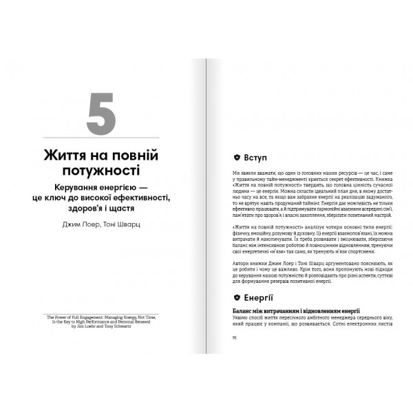 Сам собі енерджайзер. Збірник самарі + Аудіокнижка