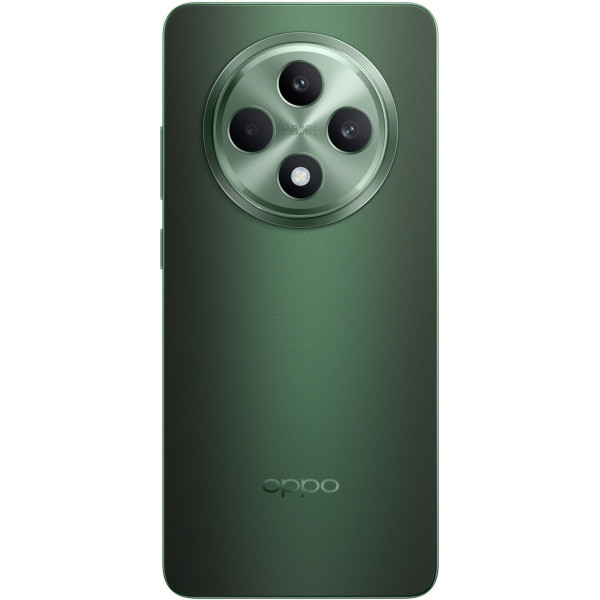 Смартфон Oppo Reno12 F 5G 8/256GB Black Green
