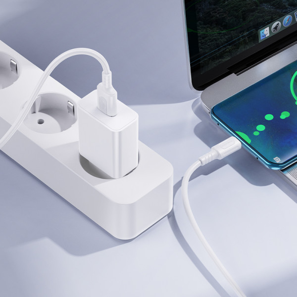 Мережевий зарядний пристрій BOROFONE BA110A Lemi single port charger set (Type-C) (EU) White (6941991126963)