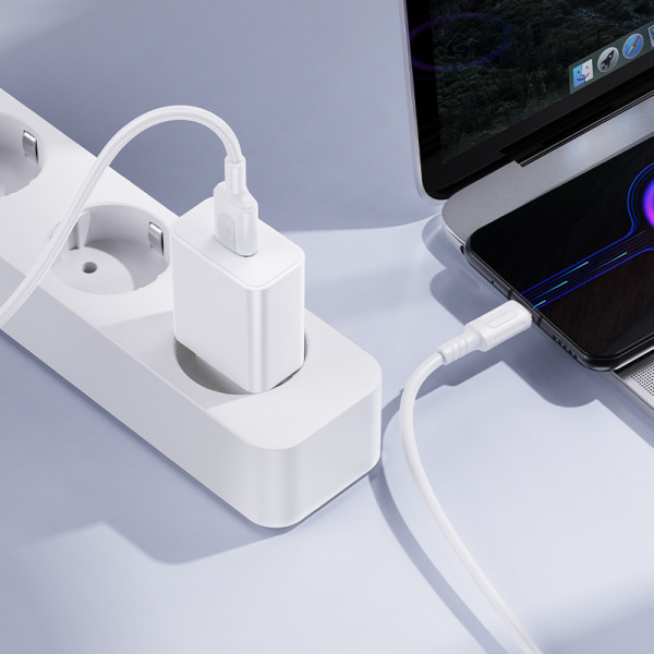 Мережевий зарядний пристрій BOROFONE BA110A Lemi single port charger (EU) White (6941991126949)