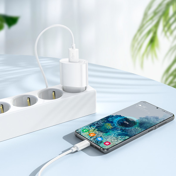 Мережевий зарядний пристрій HOCO C109A(10.5W) Fighter single port charger set(Micro) White (6942007656603)