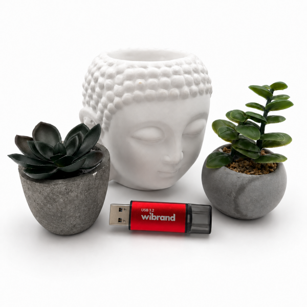 Флеш-накопичувач Wibrand USB 3.2 Gen1 Ladybug 64GB Red (WI3.2/LB64P10S)