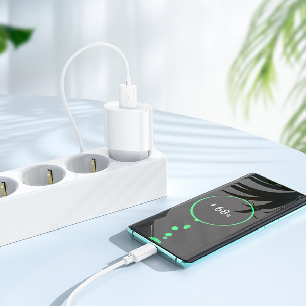 Мережевий зарядний пристрій з кабелем HOCO C109A(10.5W) Fighter single port charger set(Type-C) White (6942007656610)