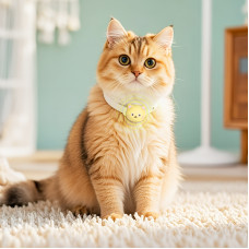 Трекер HOCO E91D Tiger smart anti-lost device(cat collar type) Black (6942007666091)