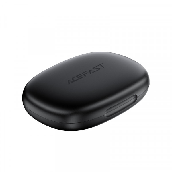 Беруші ACEFAST WP1 Silicone noise-cancelling earplugs Black (6974316286608)