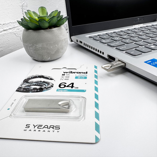 Флеш-накопичувач Wibrand USB 2.0 Taipan 64Gb Silver