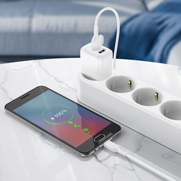 Мережевий зарядний пристрій з кабелем BOROFONE BAS41A Potential dual-port charger set(Micro) White (6941991113765)