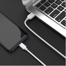 Кабель BOROFONE BX14 USB to Type-C 2.4A, 1m, PVC, TPE connectors, Білий