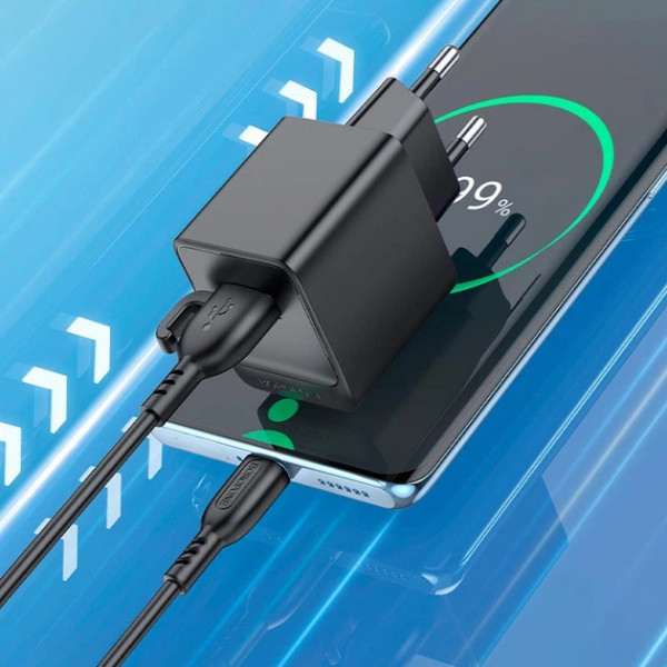 Мережевий зарядний пристрій BOROFONE BAS11A Erudite single port charger set (Type-C) (EU) Black (6941991104657)