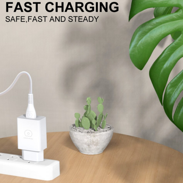 Мережевий зарядний пристрій WUW-C186 Single USB charger (6972573336371)