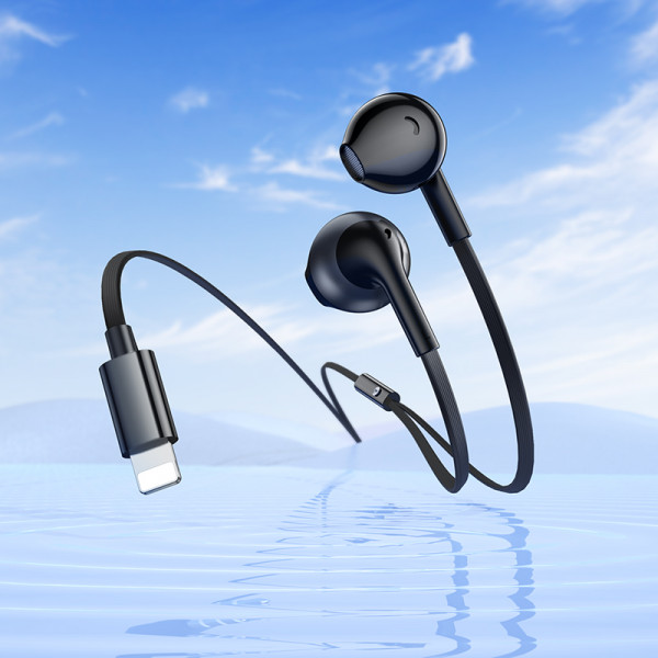 Навушники HOCO M115 Sagacious universal earphones with microphone iP Black (6942007640008)