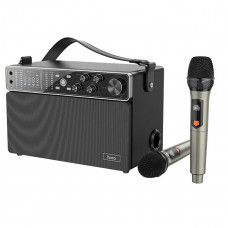 Портативна колонка HOCO BS50 Chanter wireless double mic karaoke BT speaker Чорний
