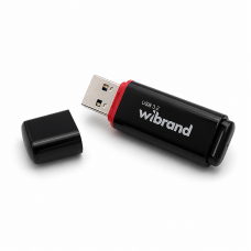 Флеш-накопичувач Wibrand USB 3.2 Gen1 Scarab 64GB Black (WI3.2/SC64P11B)