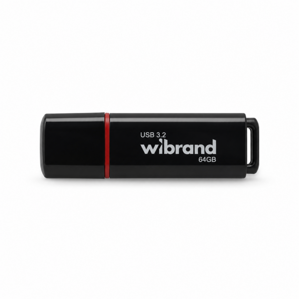 Флеш-накопичувач Wibrand USB 3.2 Gen1 Scarab 64GB Black (WI3.2/SC64P11B)