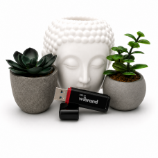 Флеш-накопичувач Wibrand USB 3.2 Gen1 Scarab 64GB Black (WI3.2/SC64P11B)