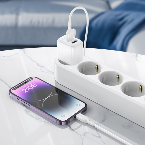 Мережевий зарядний пристрій BOROFONE BAS41A Potential dual-port charger White (6941991113741)