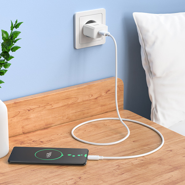 Мережевий зарядний пристрій HOCO C106A Leisure single port charger set(Micro) 10.5W White (6931474783905)