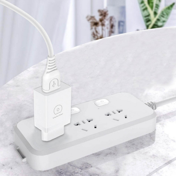 Мережевий зарядний пристрій WUW-T66 Single USB home charger kit (6972573335084)