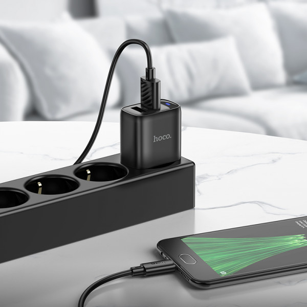 Мережевий зарядний пристрій з кабелем HOCO C141A Smart dual-port charger set(Micro) Black (6942007627887)