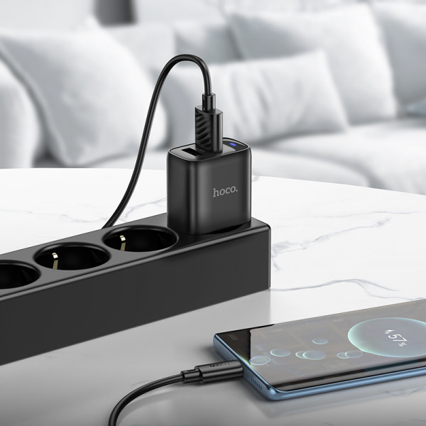 Мережевий зарядний пристрій HOCO C141A Smart dual-port charger Black (6942007627849)
