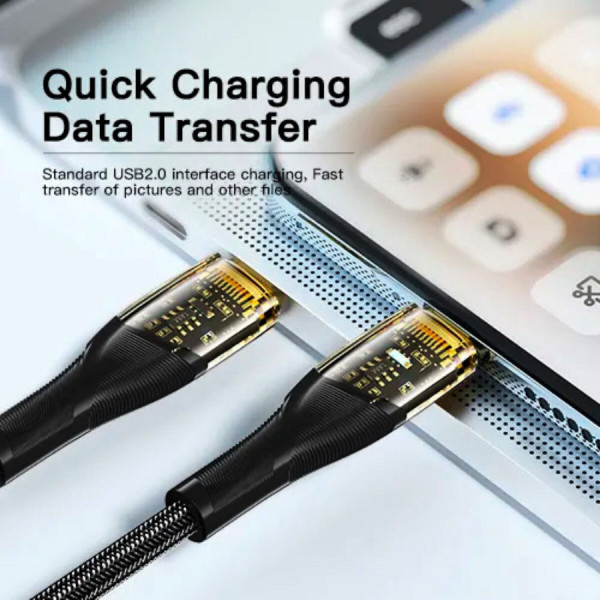 Кабель Essager Interstellar Transparent Design USB Charging Cable Type C to Type C 100W 1m чорний (EXCTT1-XJ01-P)