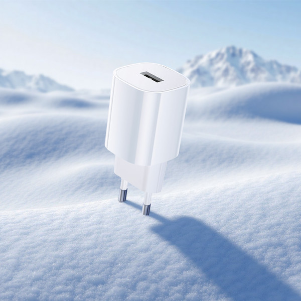 Мережевий зарядний пристрій BOROFONE BA101A Pudding single port charger (EU) White (6941991124013)