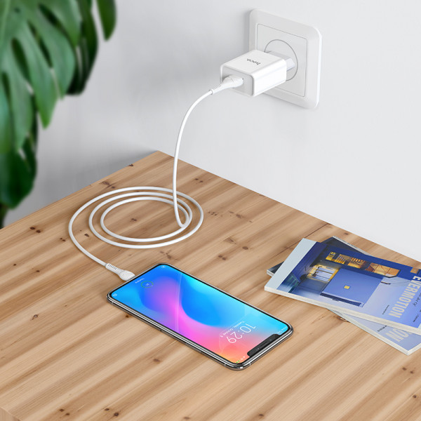 Мережевий зарядний пристрій HOCO C81A Asombroso single port charger set(Type-C) White (6931474727961)