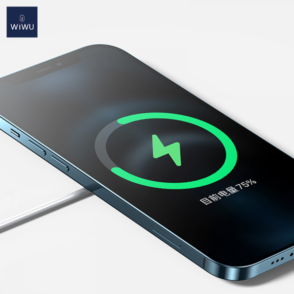 Бездротовий зарядний пристрій WIWU Wi-W009 Magnetic Wirless White (6976195091595)