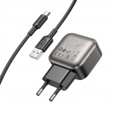 Мережевий зарядний пристрій BOROFONE BAS51A Absolute dual-port charger set(Type-C) Black (6941991116131)